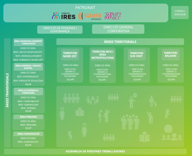 organigrama intermedia