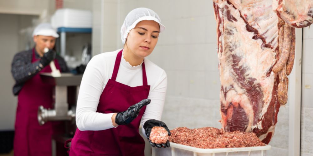 AUXILIAR DE CARNISSERIA I XARCUTERIA
