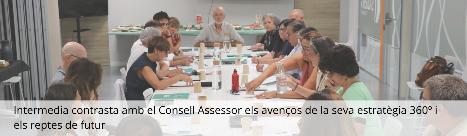 Consell Assessor